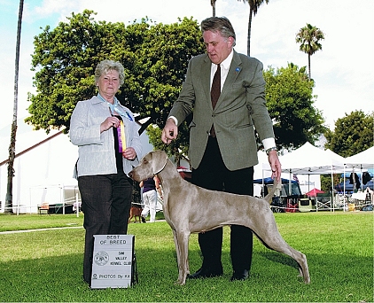 katie bob 4.jpg - 166.9 K